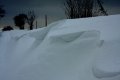 Winter 17.12.2010 012